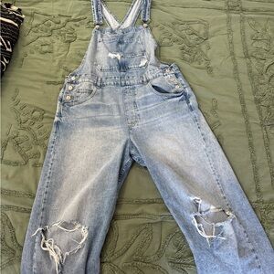 We The Free Ziggy Light Blue Denim Overalls
